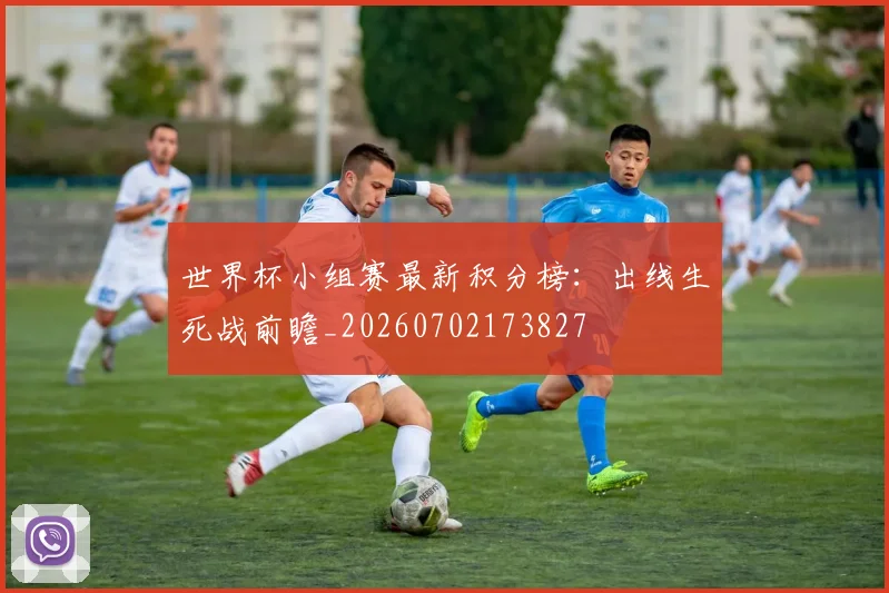 世界杯小组赛最新积分榜:出线生死战前瞻_20260702173827